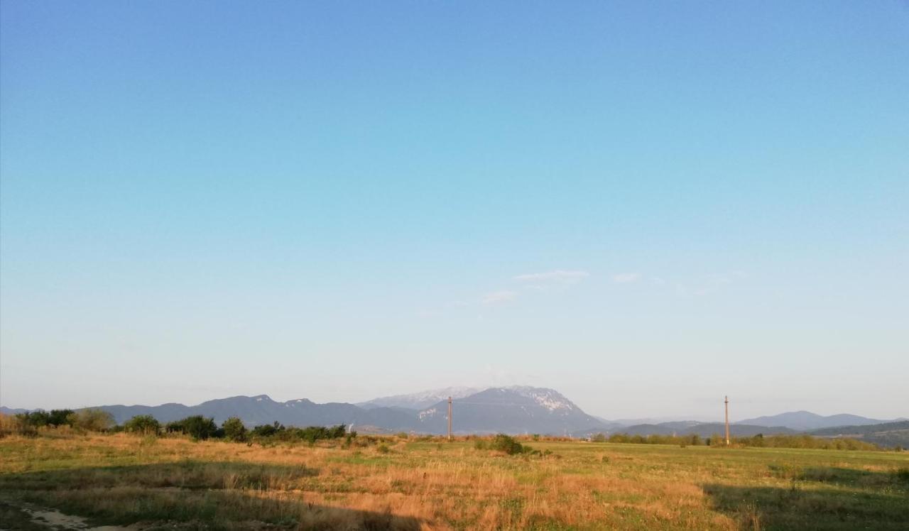 Pensiunea Ada Rîşnov Buitenkant foto